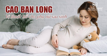 Cao ban long Sibiri Vị thuốc bổ cho phụ nữ sau sinh